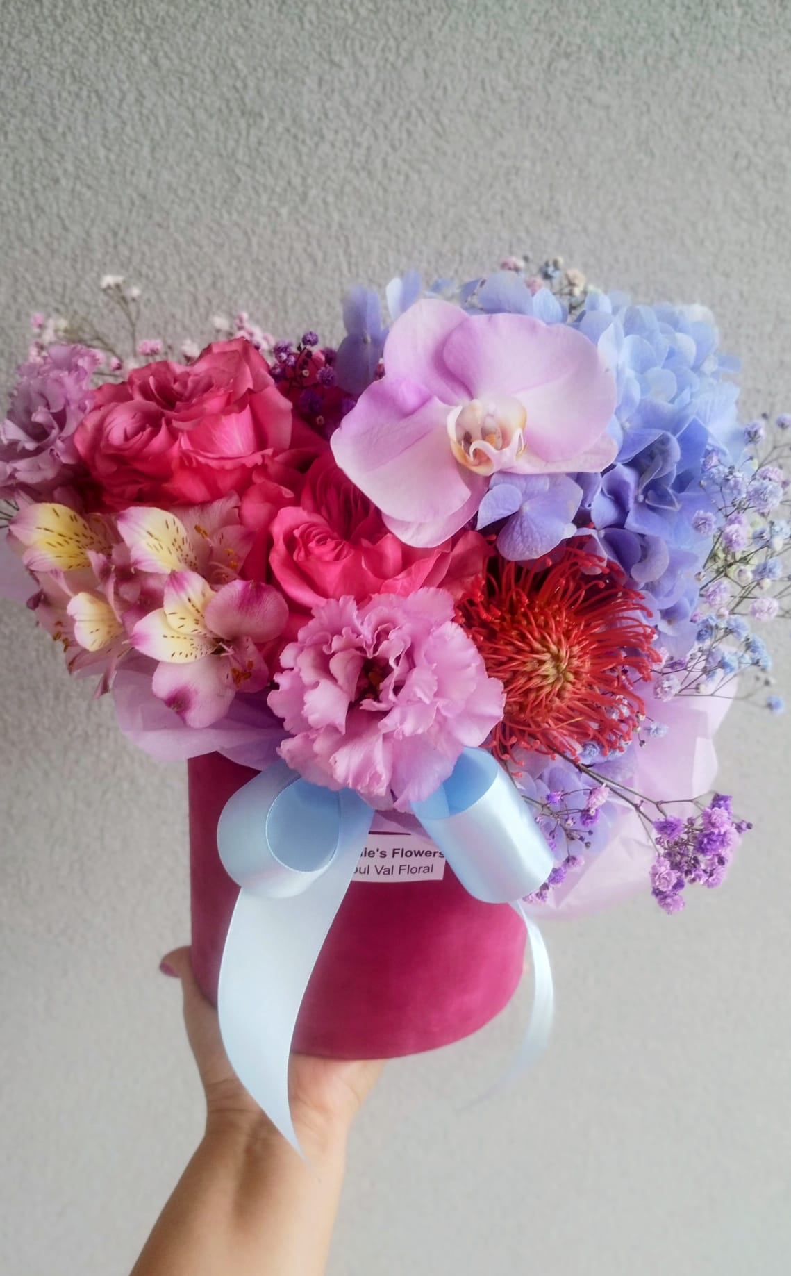 Pink Dream