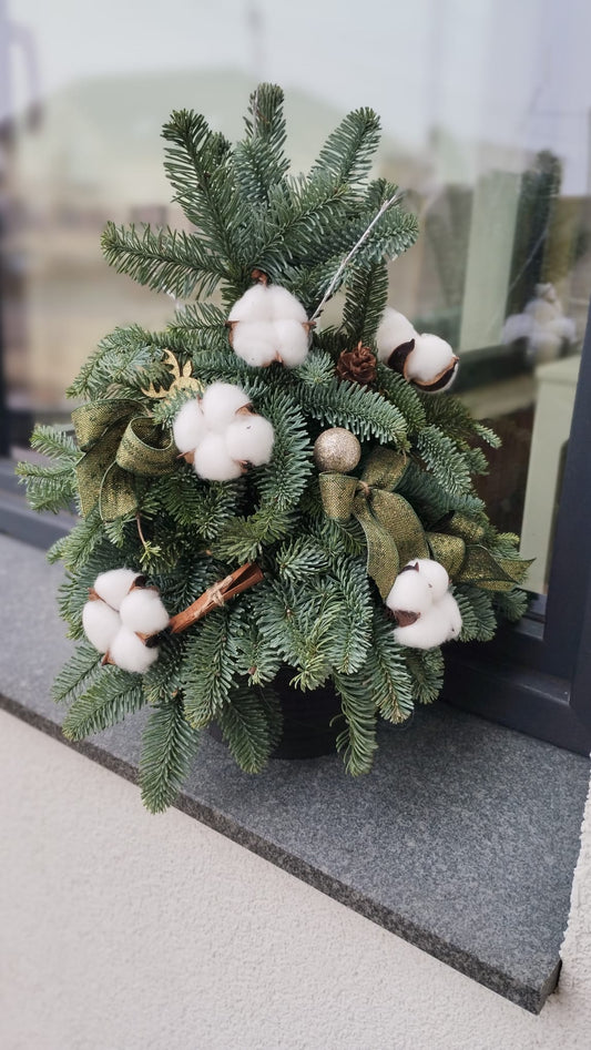 Aranjament tip Brad in vas de ceramica negru ,I : 60 cm