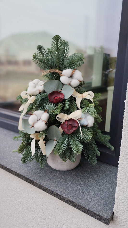 Aranjament tip Brad  Elegant  vas de piatra , I : 38 cm