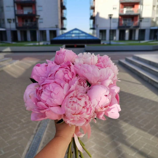 Buchet de mireasa din Bujori Roz !