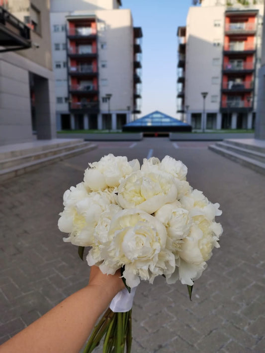 Buchet Mireasa Bujori Albi